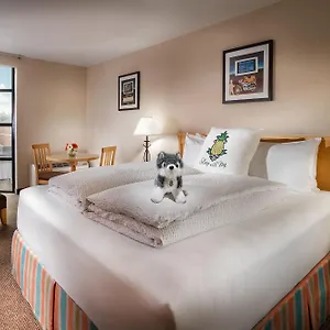 Staypineapple, Inn, District Hotel
